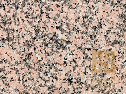 ROSA-PORRINO-CA