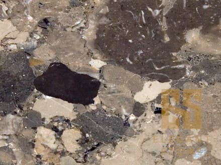 BRECCIA-CARSICA
