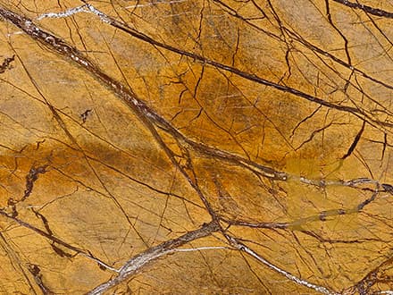RAIN-FOREST-GOLD